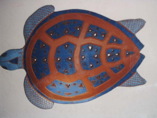 turtle  O7