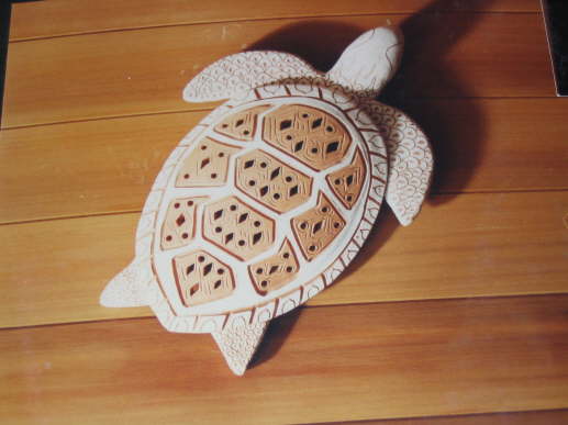 turtle  O8