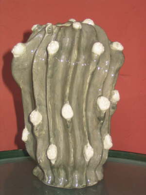 cactus V7